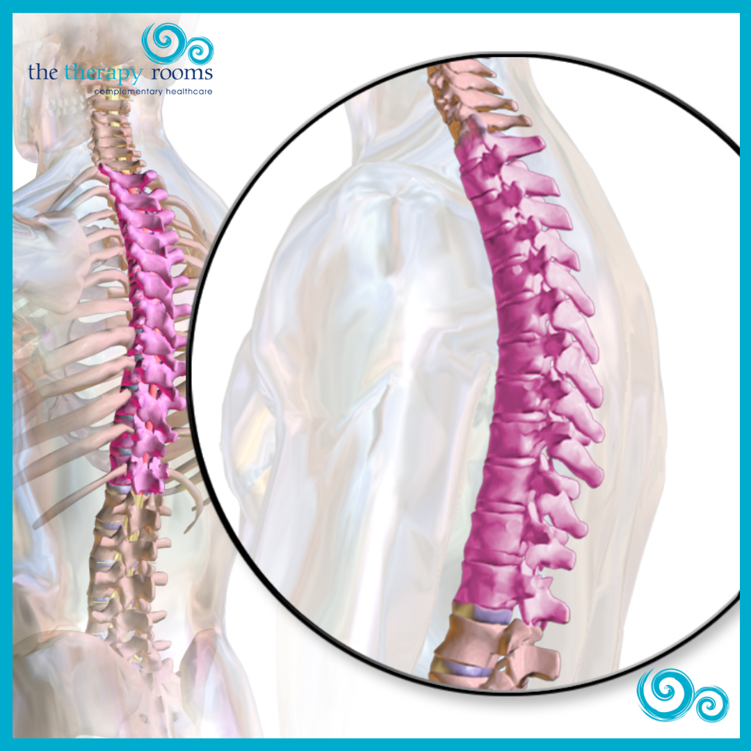Upper Back and Neck Pain